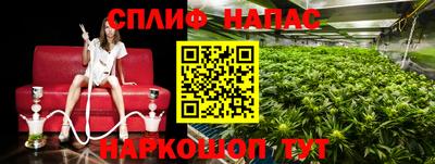 молекула духа Чапаевск