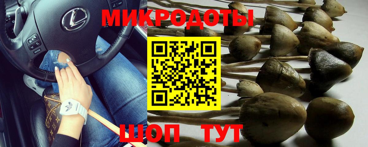 Галлюциногенные грибы мицелий Ачинск